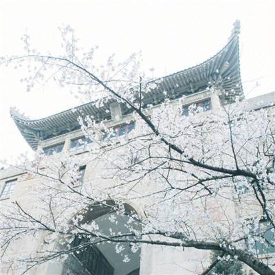 十四届上海市政协原常委鲍炳章严重违纪违法被“双开”
